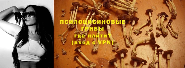 дживик Армянск